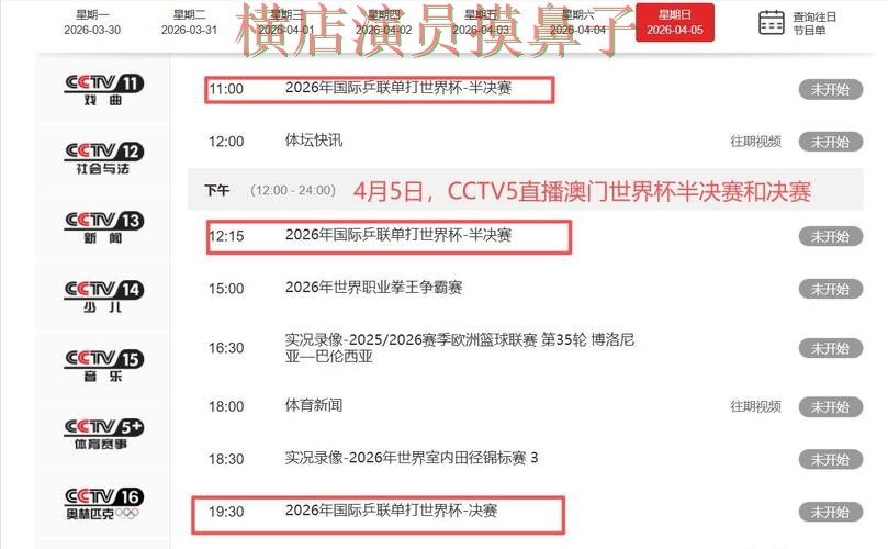 世界杯投注平台合集全面分析报告：直播入口+直播与实际体验总结 - 世界杯全球总决赛