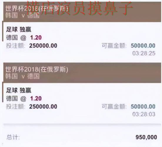盘点世界杯买球平台：从平台排行到使用全流程解析 - World Cup 2026